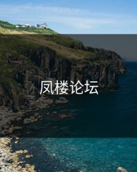 凤楼论坛