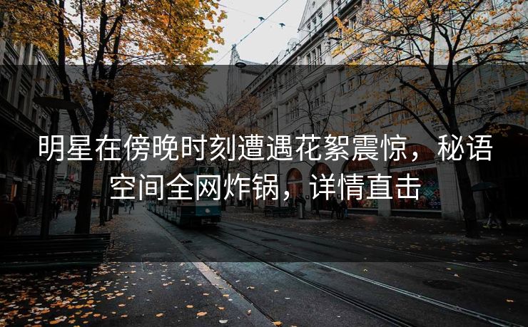 明星在傍晚时刻遭遇花絮震惊，秘语空间全网炸锅，详情直击
