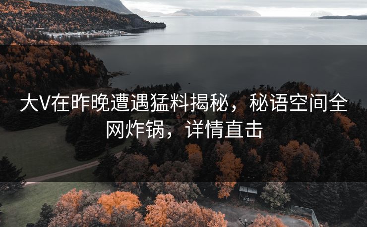 大V在昨晚遭遇猛料揭秘，秘语空间全网炸锅，详情直击