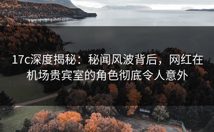 17c深度揭秘：秘闻风波背后，网红在机场贵宾室的角色彻底令人意外