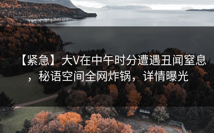 【紧急】大V在中午时分遭遇丑闻窒息，秘语空间全网炸锅，详情曝光