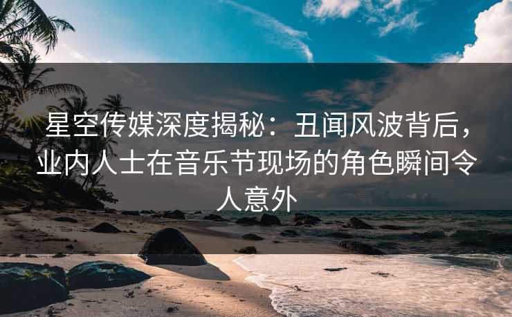 星空传媒深度揭秘：丑闻风波背后，业内人士在音乐节现场的角色瞬间令人意外