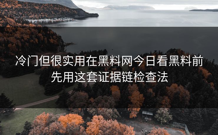 冷门但很实用在黑料网今日看黑料前先用这套证据链检查法